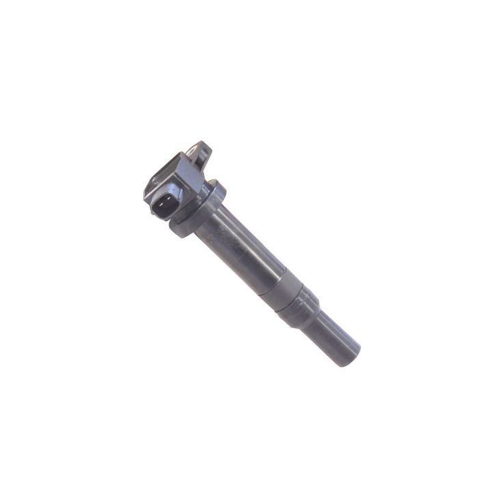 Ritė, uždegimas HITACHI 134012