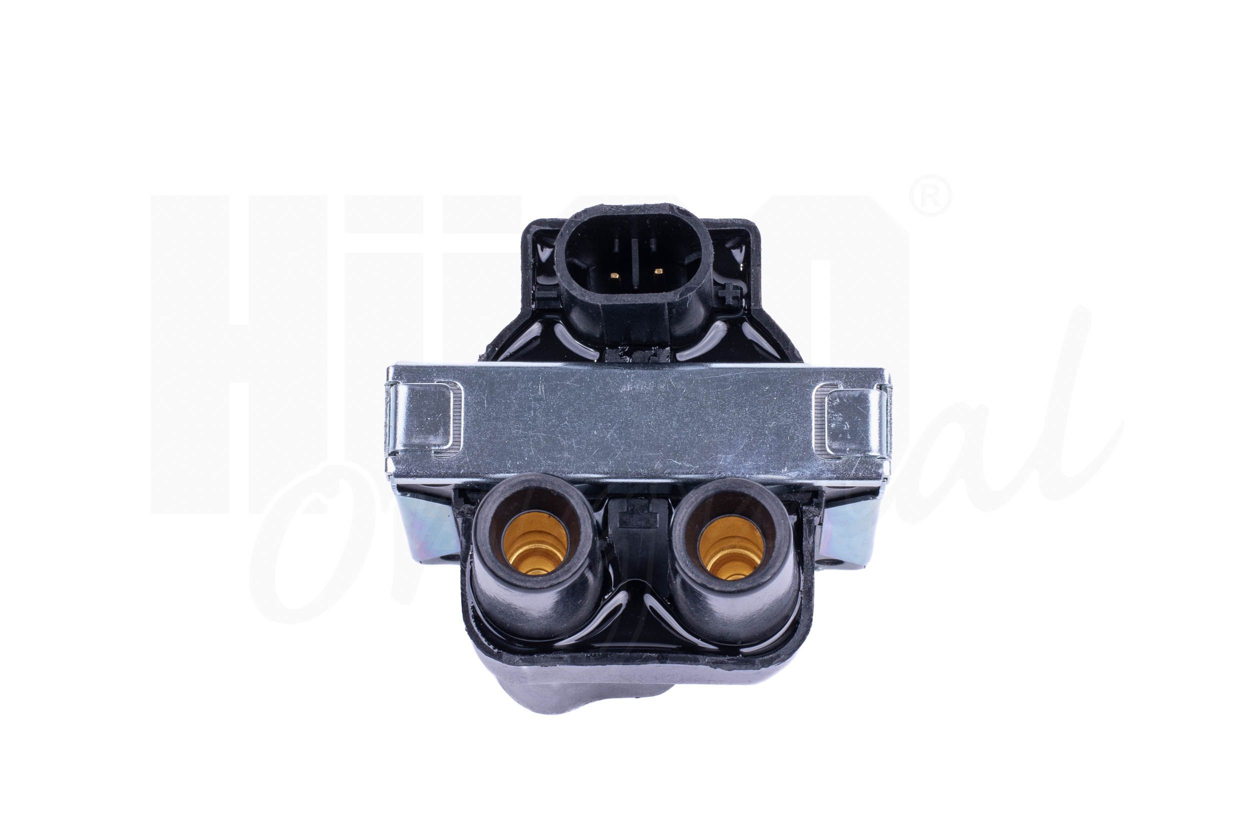 Ritė, uždegimas HITACHI 138730