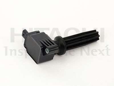 Ritė, uždegimas HITACHI 2504091