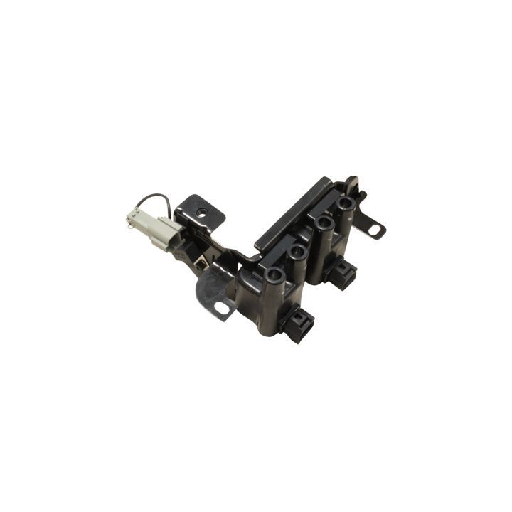 Ritė, uždegimas HITACHI 2508749