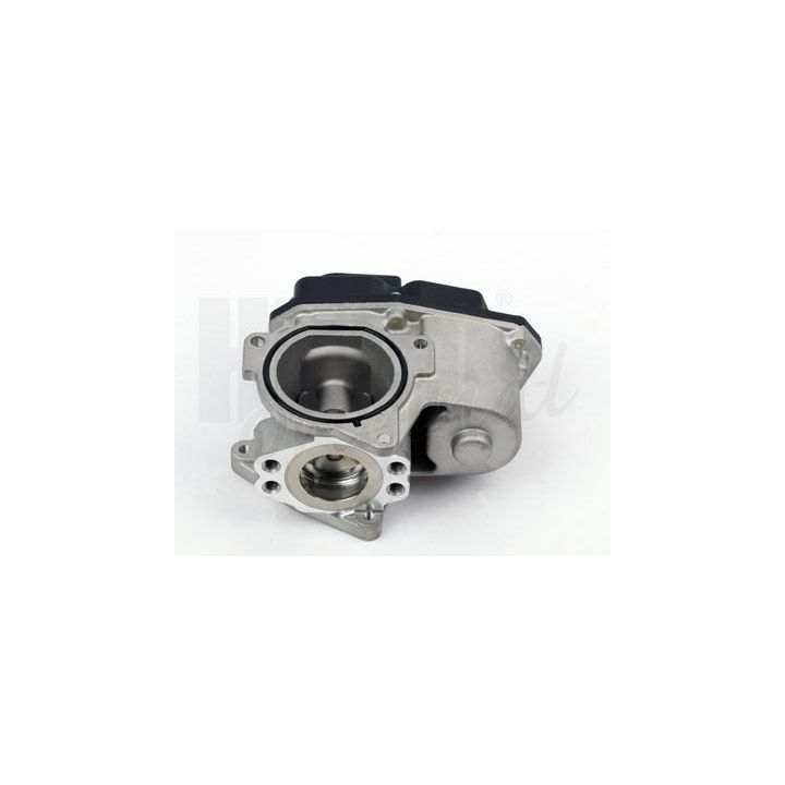 ERG vožtuvas HITACHI 138460