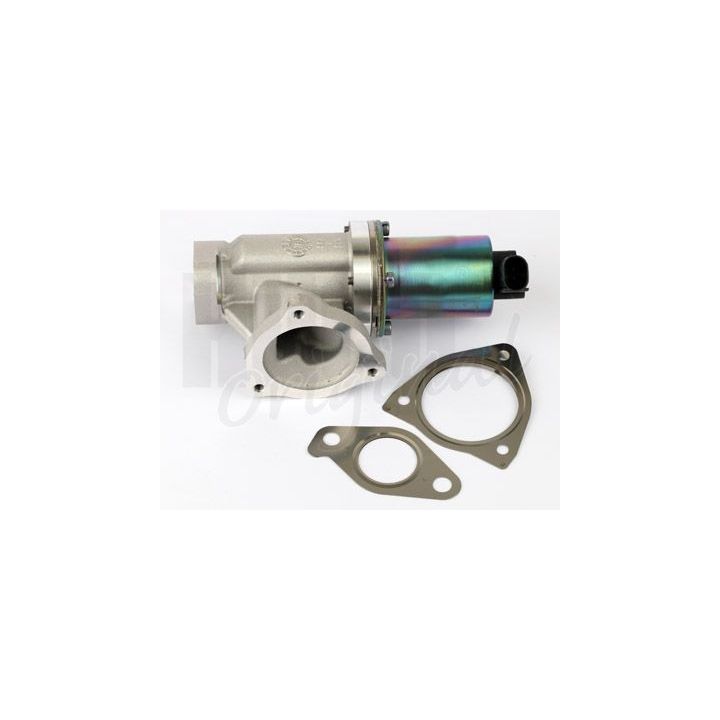 ERG vožtuvas HITACHI 138495