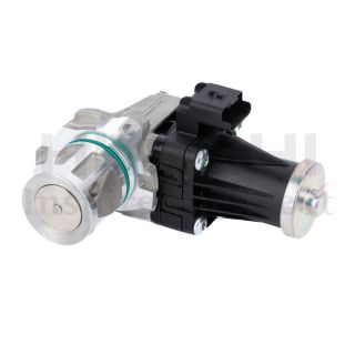 ERG vožtuvas HITACHI 2505964