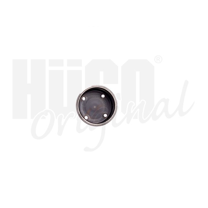 Aukšto slėgio siurblio stūmoklis HITACHI 133059