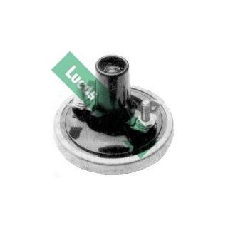 Ritė, uždegimas LUCAS DLB101