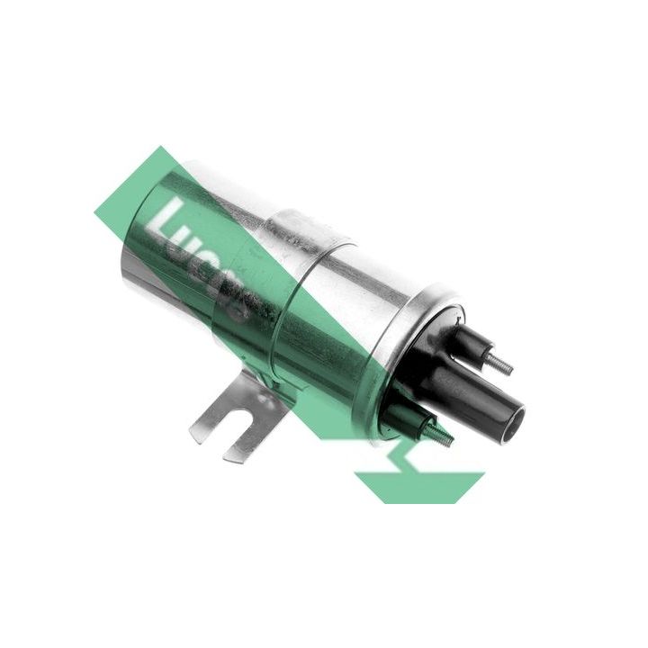 Ritė, uždegimas LUCAS DLB198