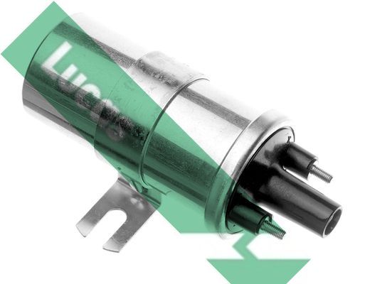 Ritė, uždegimas LUCAS DLB198