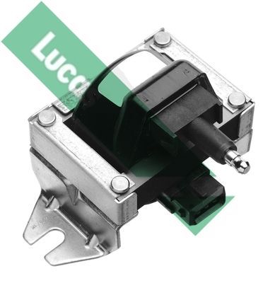 Ritė, uždegimas LUCAS DLB301