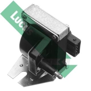 Ritė, uždegimas LUCAS DLB332