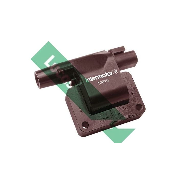 Ritė, uždegimas LUCAS DLJ300