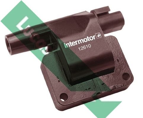 Ritė, uždegimas LUCAS DLJ300