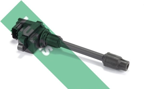 Ritė, uždegimas LUCAS DMB1012