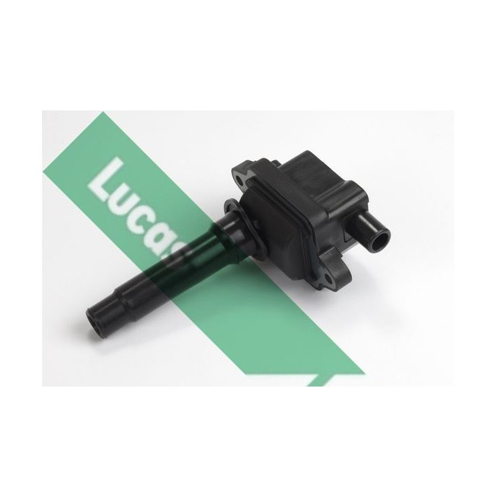 Ritė, uždegimas LUCAS DMB1013