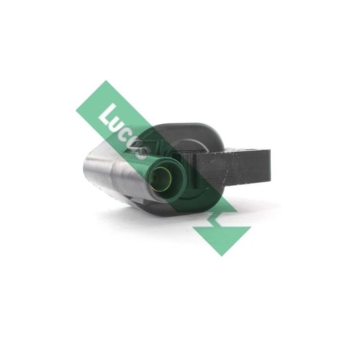 Ritė, uždegimas LUCAS DMB1018