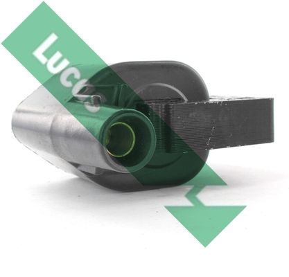 Ritė, uždegimas LUCAS DMB1018