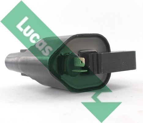 Ritė, uždegimas LUCAS DMB1018