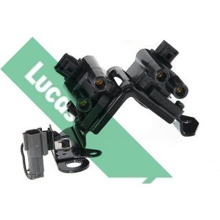 Ritė, uždegimas LUCAS DMB1023