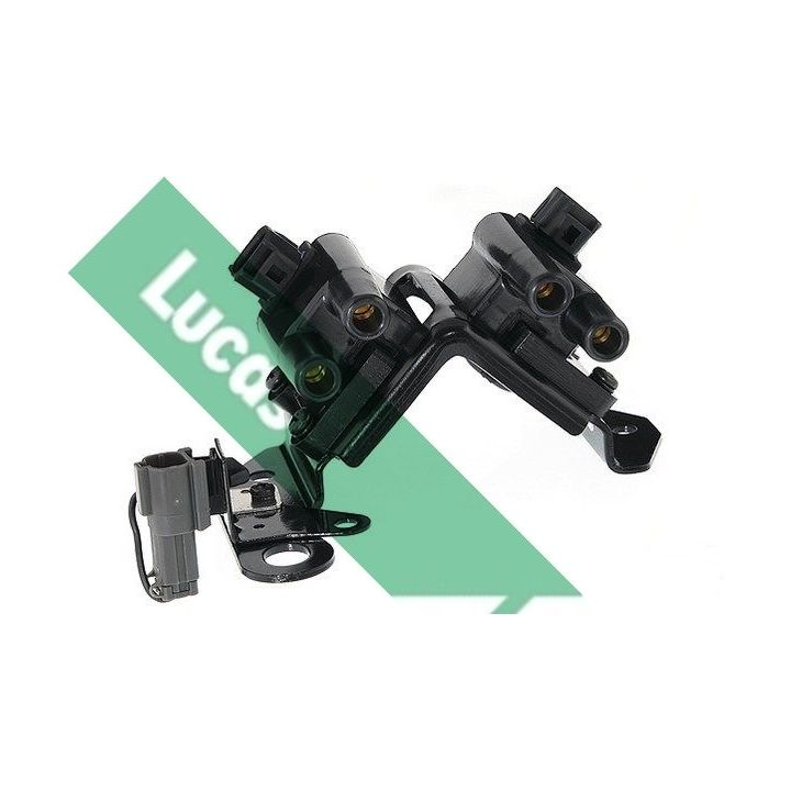 Ritė, uždegimas LUCAS DMB1023