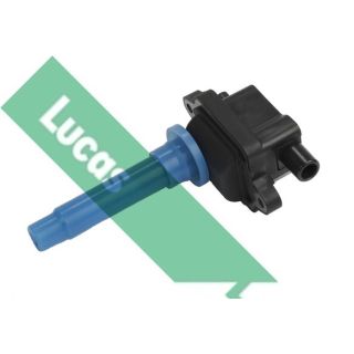 Ritė, uždegimas LUCAS DMB1026