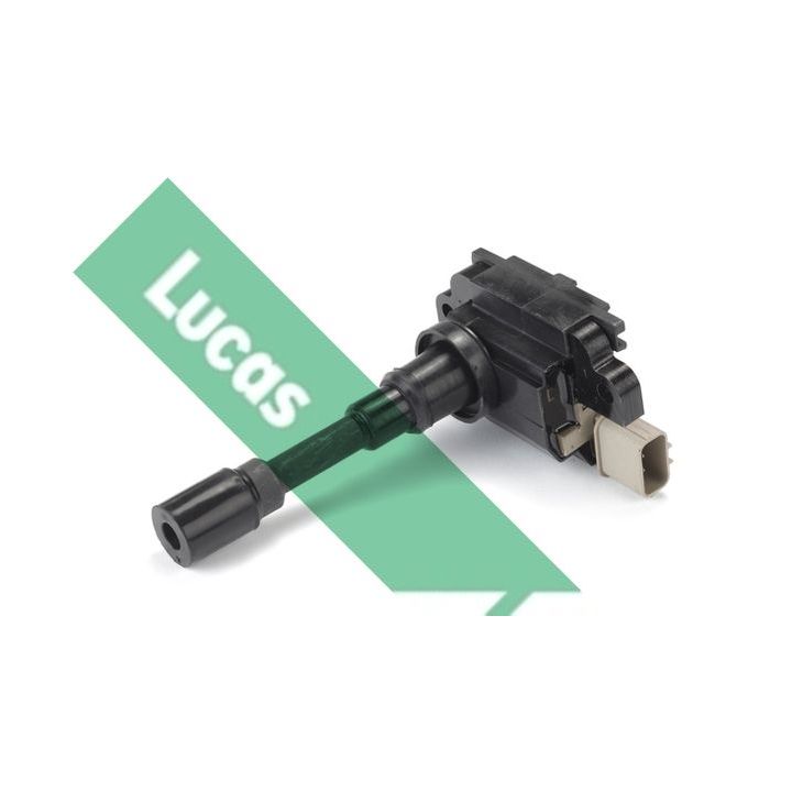 Ritė, uždegimas LUCAS DMB1031