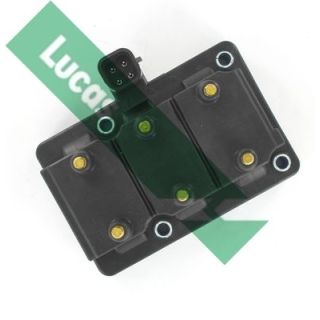 Ritė, uždegimas LUCAS DMB1048