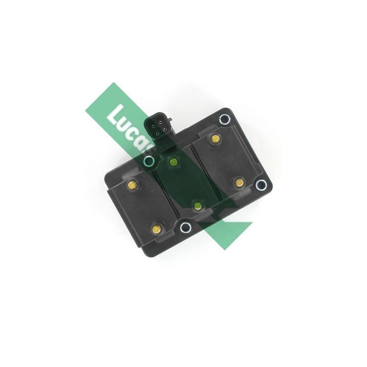 Ritė, uždegimas LUCAS DMB1048