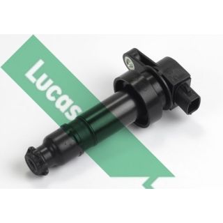 Ritė, uždegimas LUCAS DMB1073