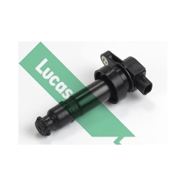 Ritė, uždegimas LUCAS DMB1073