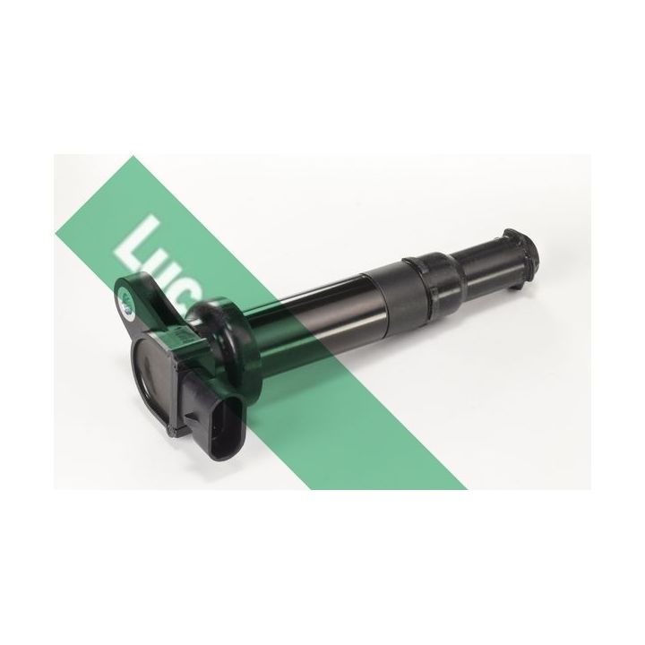 Ritė, uždegimas LUCAS DMB1074