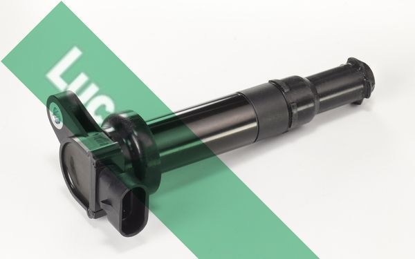 Ritė, uždegimas LUCAS DMB1074