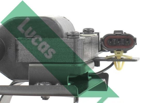 Ritė, uždegimas LUCAS DMB1079