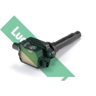 Ritė, uždegimas LUCAS DMB1081