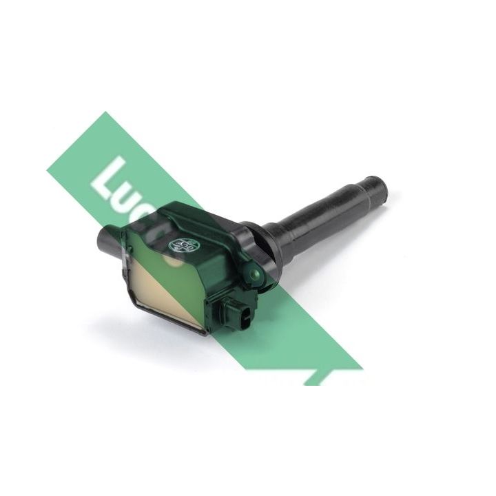 Ritė, uždegimas LUCAS DMB1081