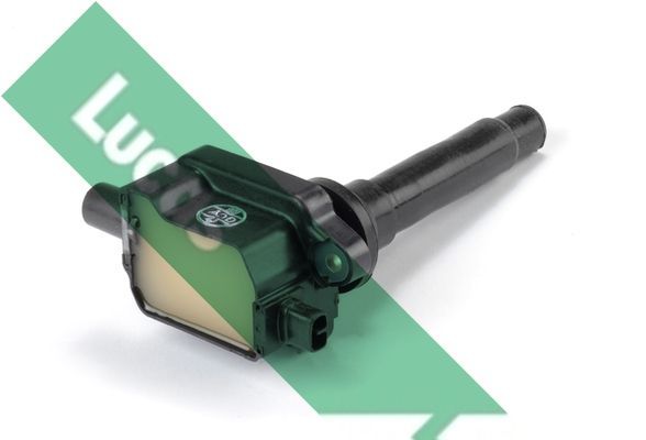 Ritė, uždegimas LUCAS DMB1081