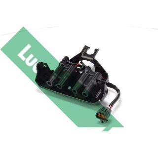 Ritė, uždegimas LUCAS DMB1087