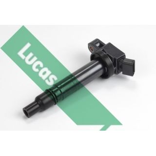 Ritė, uždegimas LUCAS DMB1099