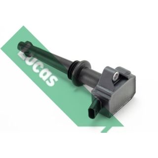 Ritė, uždegimas LUCAS DMB1110