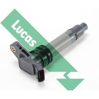 Ritė, uždegimas LUCAS DMB1111