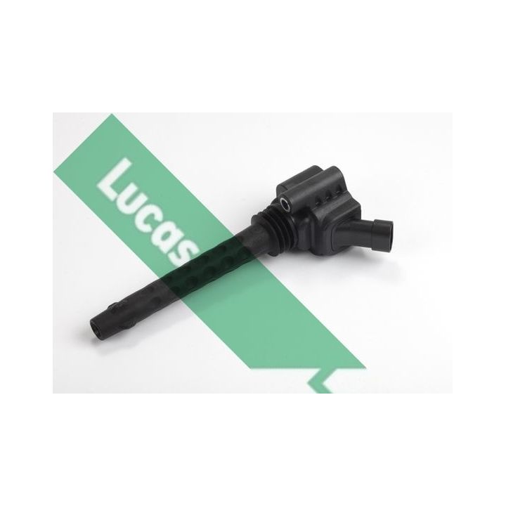 Ritė, uždegimas LUCAS DMB1119