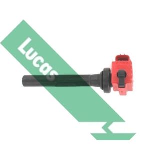 Ritė, uždegimas LUCAS DMB1122