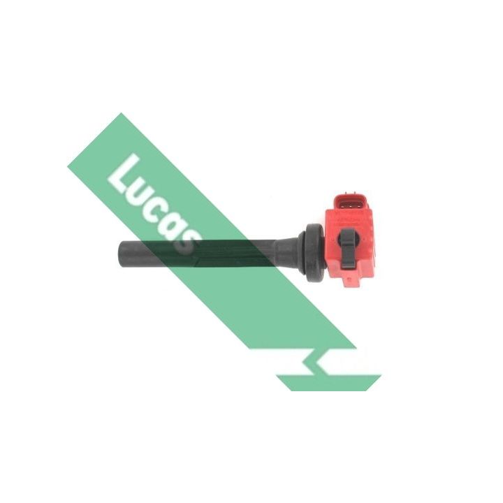 Ritė, uždegimas LUCAS DMB1122