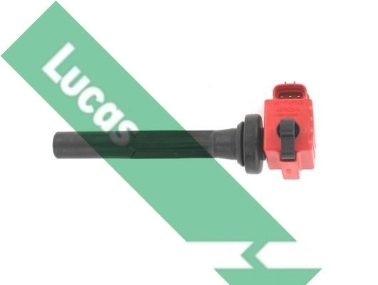 Ritė, uždegimas LUCAS DMB1122