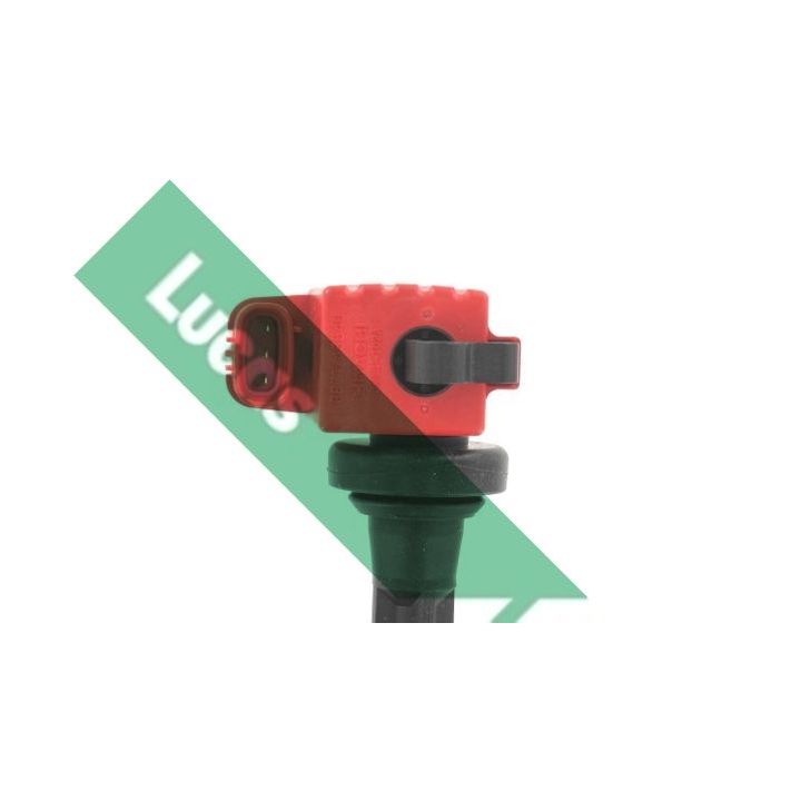 Ritė, uždegimas LUCAS DMB1122
