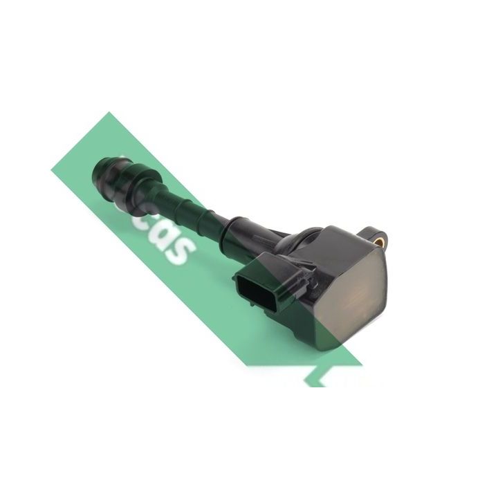 Ritė, uždegimas LUCAS DMB1129