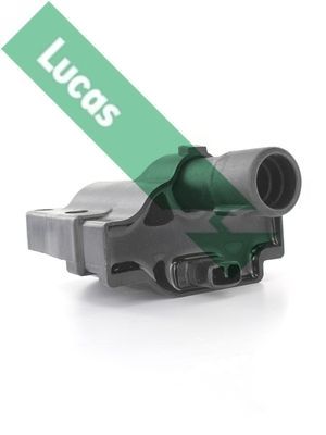 Ritė, uždegimas LUCAS DMB1130