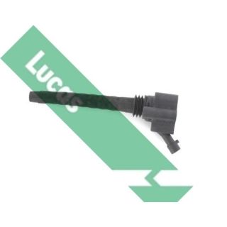 Ritė, uždegimas LUCAS DMB1132