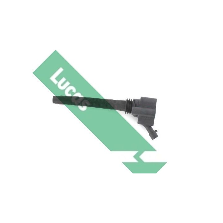 Ritė, uždegimas LUCAS DMB1132