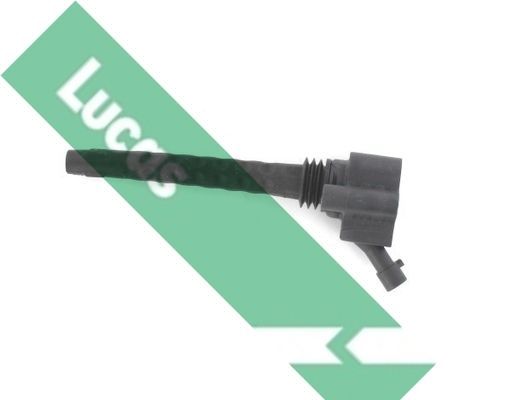 Ritė, uždegimas LUCAS DMB1132