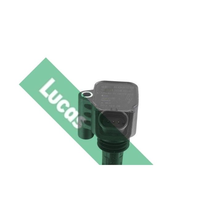 Ritė, uždegimas LUCAS DMB1132