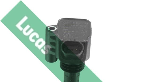 Ritė, uždegimas LUCAS DMB1132